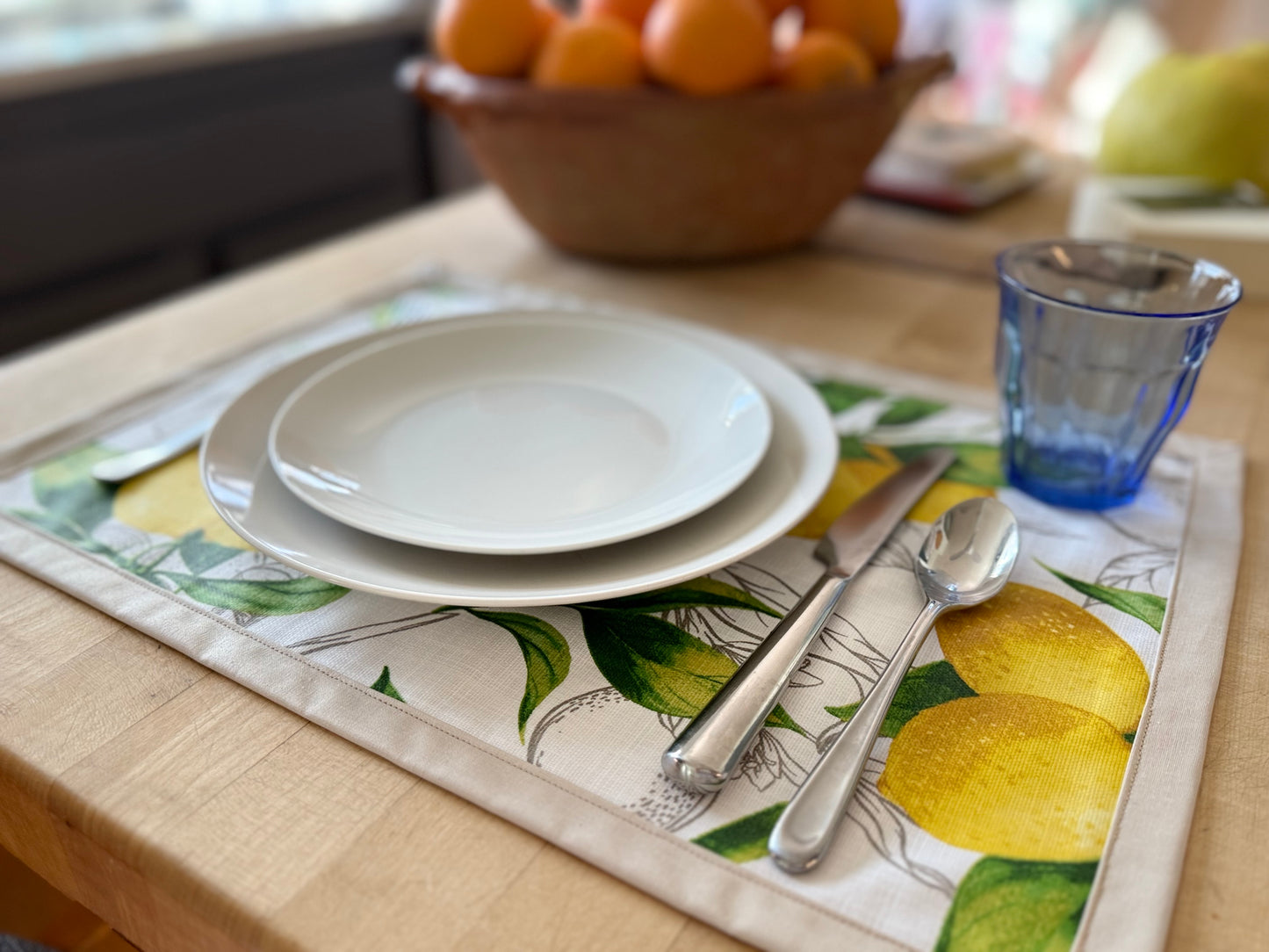 Stain Resistant Placemats